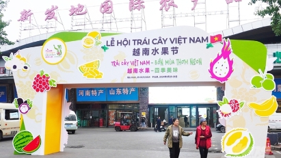 Vietnam hosts fruit festival in Beijing