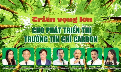Triển vọng lớn cho phát triển thị trường tín chỉ carbon 