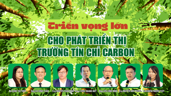 Triển vọng lớn cho phát triển thị trường tín chỉ carbon