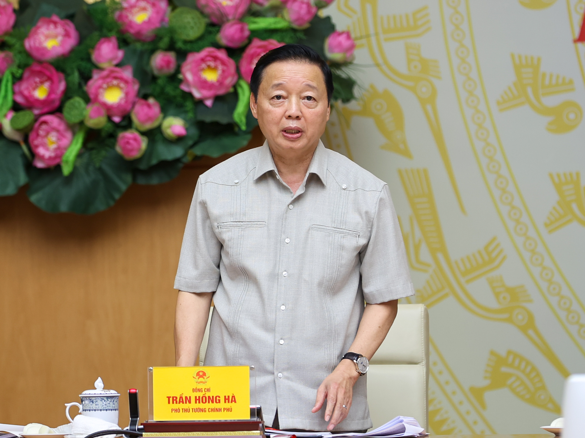 Phó Thủ tướng Trần Hồng Hà phát biểu tại cuộc họp - Ảnh: VGP