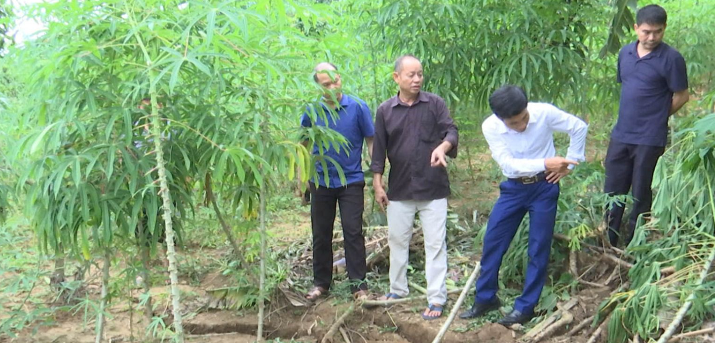 Đoàn công tác kiểm tra thực địa khu vực có nguy cơ sạt lở tại bản Nà Lốc. Ảnh: Lò An