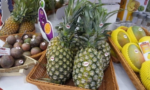 Dự báo xuất khẩu rau quả sẽ đạt 15 tỷ USD vào năm 2030