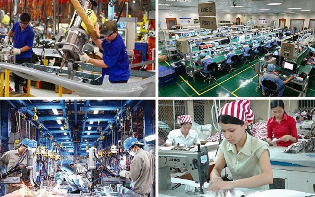 Sự gián đoạn do cơn bão Yagi gây ra dự kiến chỉ là tạm thời, các nhà sản xuất vẫn lạc quan sản lượng sẽ tăng trong năm tới.