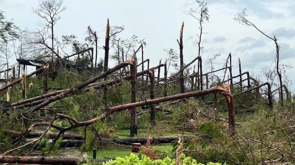 Xuất khẩu gỗ và lâm sản 9 tháng đạt hơn 12 tỷ USD, dự báo những tháng tới sẽ rất khó khăn