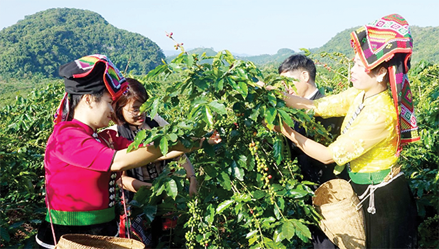Vietnam-UK agricultural trade potential to be unlocked