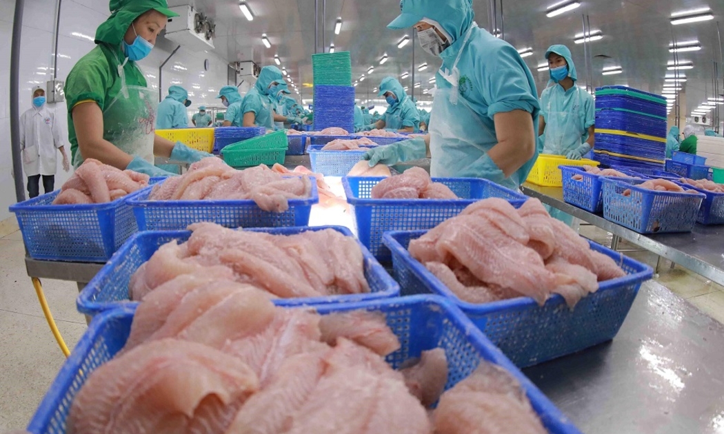 Cá tra - basa phi lê đông lạnh Việt Nam đang bị áp thuế chống bán phá giá tại Hoa Kỳ. Ảnh minh họa.