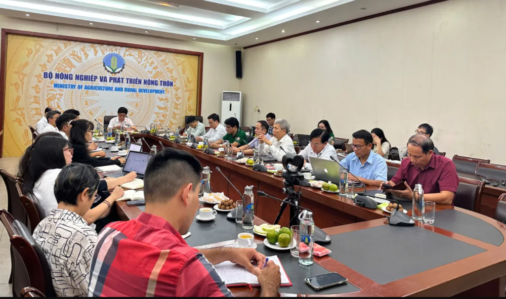 Quang cảnh cuộc họp về EUDR vào chiều 1/10/2024.