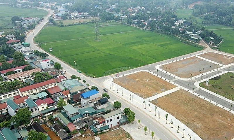 Ảnh minh họa.