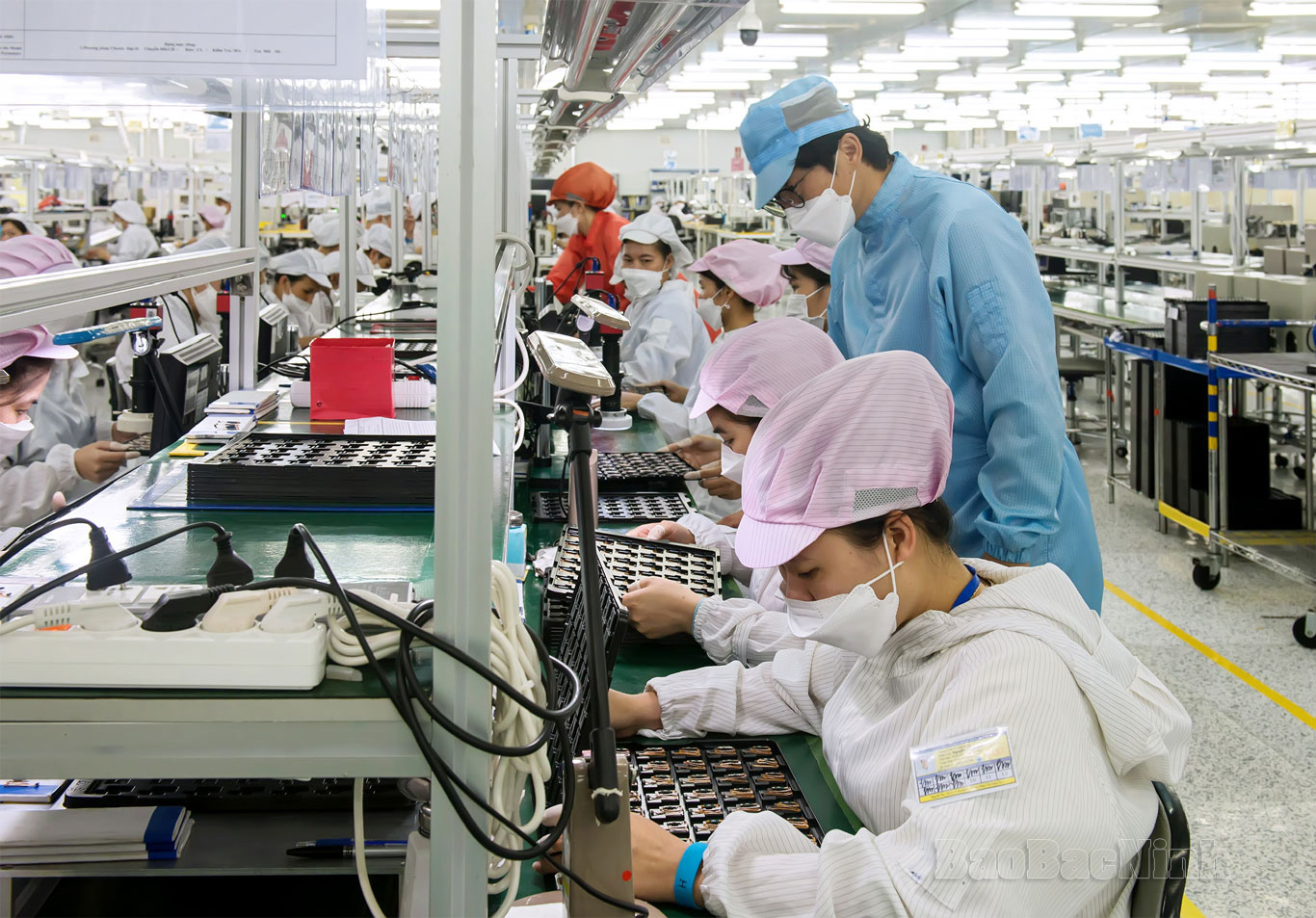 Từ ngày 01/01/2024 đến ngày 20/9/2024, TP.HCM cấp phép 37.808 doanh nghiệp - Ảnh minh họa.
