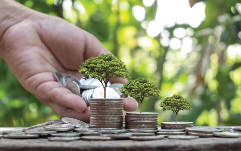 VnEconomy