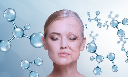 Sôi động cuộc đua tìm phương thuốc kéo dài tuổi thọ