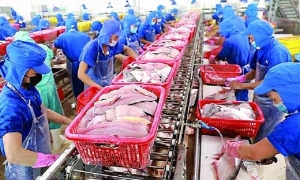 5 năm thực thi CPTPP: Nhiều tiềm năng chưa được khai thác hết