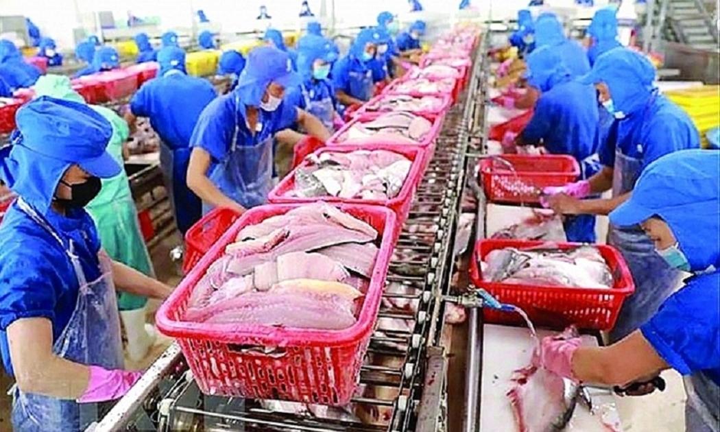 Xuất khẩu thuỷ sản của Việt Nam sang thị trường CPTPP tăng trưởng tích cực.