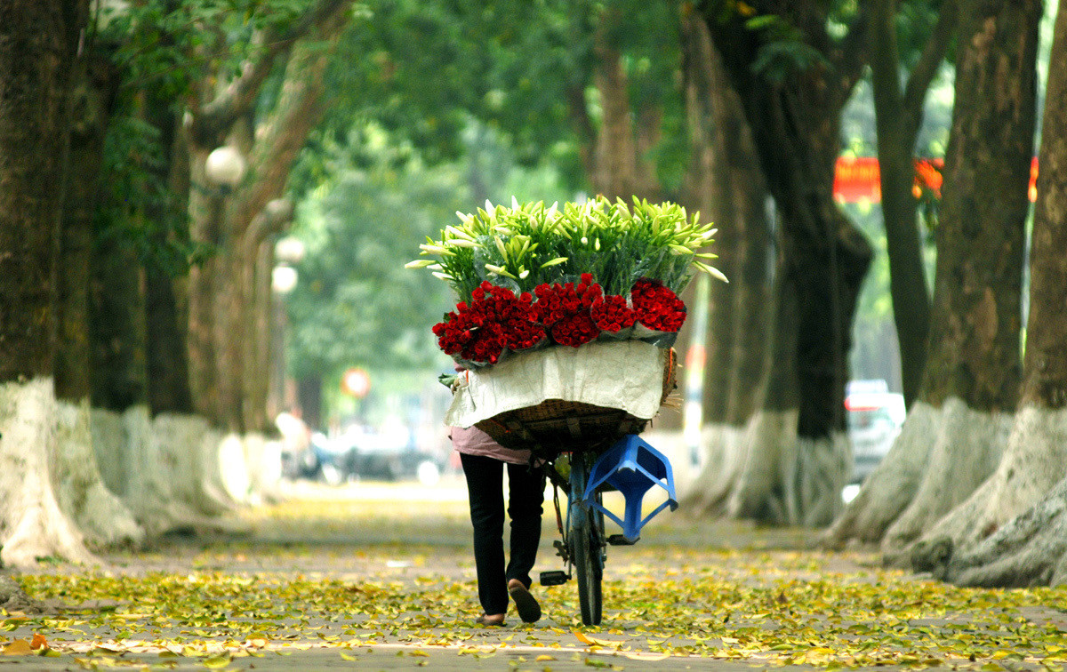 Mùa thu đông Hà Nội được ví như “mùa vàng” du lịch khi tạo sức hút mãnh liệt với du khách bởi tiết trời mát mẻ, cảnh sắc bình yên.