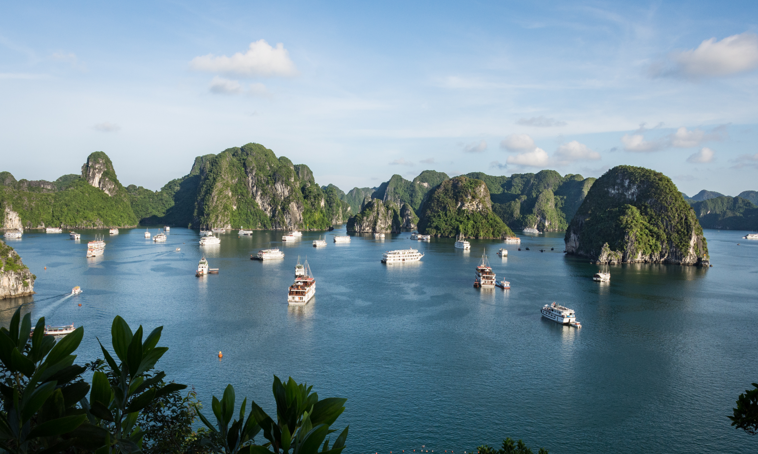 Về quy mô, số lượng tàu du lịch, tại vịnh Hạ Long sẽ không vượt quá 520 chiếc (không bao gồm du thuyền khám phá).
