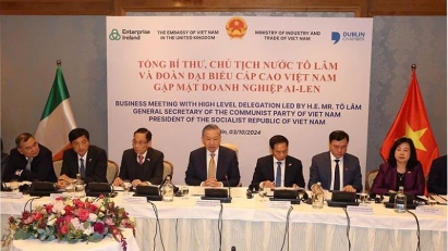 Vietnam encourages more Irish investment: Top leader