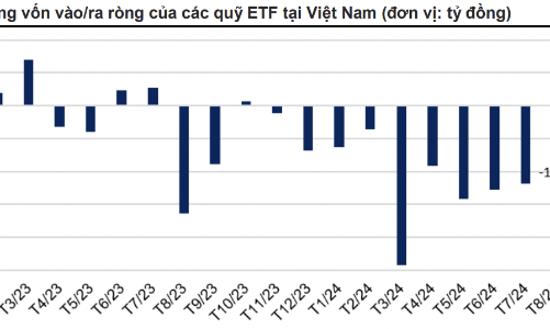 Hiệu suất tăng trưởng khá, các quỹ ETF vẫn bị rút ròng 719 tỷ đồng trong tháng qua 