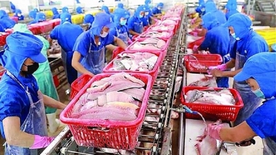 5 years of CPTPP: many potentials yet to be exploited