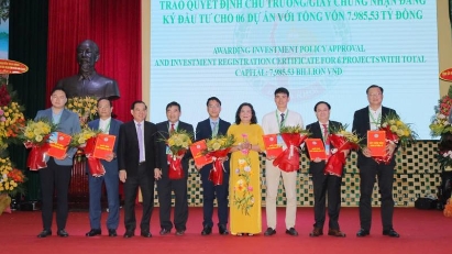 Ben Tre attracts $12 billion in investment