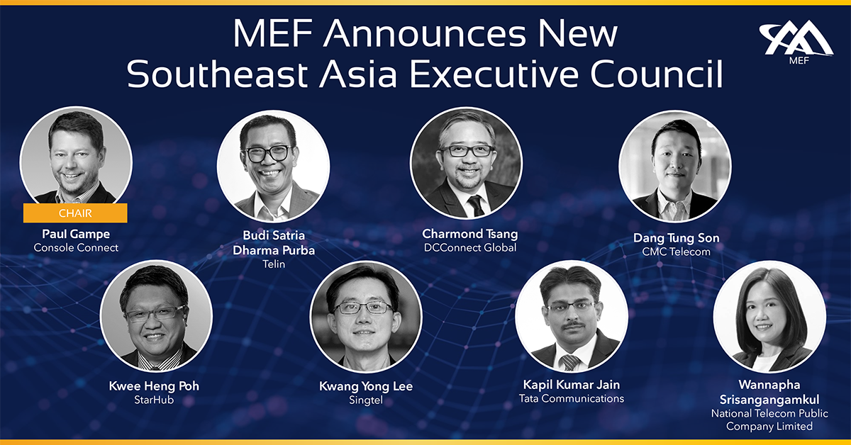 Thành viên Hội đồng Điều hành Đông Nam Á MEF.