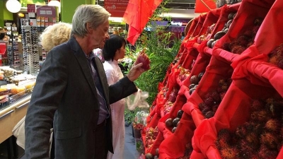 Vietnam-France trade ties expected to surge