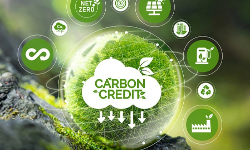 Việt Nam dự kiến sẽ chính thức vận hành thị trường carbon từ năm 2029