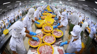 Vietnam's fishery exports reach $7.16 bln in 9 months