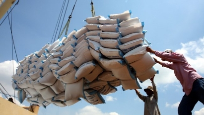 Rice exprots harvest $4.37 bln in 9M