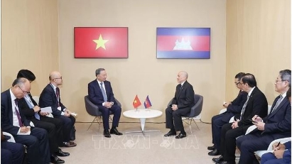 Top leader meets with Cambodian King in France