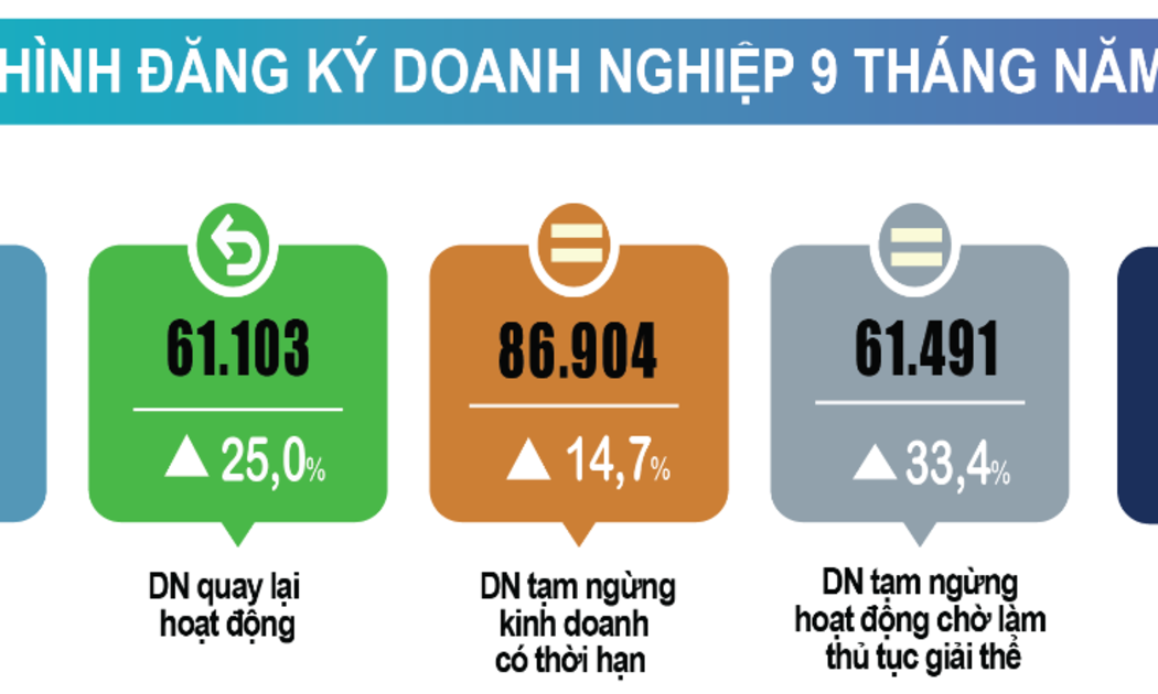 Tình hình đăng ký doanh nghiệp 9 tháng năm 2024. Nguồn: TCTK.