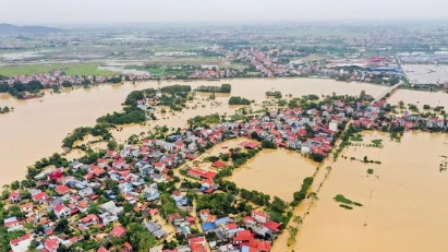 Agriculture on way to recovery from Typhoon Yagi