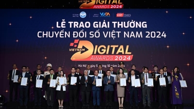 Businesses, agencies honored for excellent digital transformation