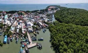 Huyện Cần Giờ đón hơn 3,5 triệu lượt du khách trong 9 tháng