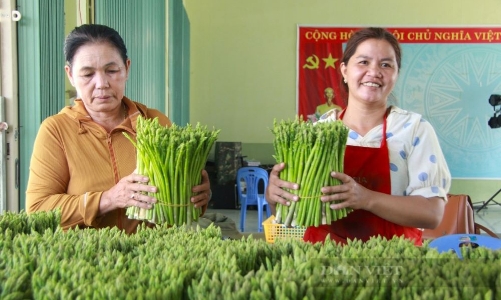 Chương trình Tự hào Nông dân Việt Nam 2024: Tôn vinh những nông dân có thành tích xuất sắc