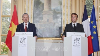 Joint statement between Vietnam and France on elevation of bilateral ties