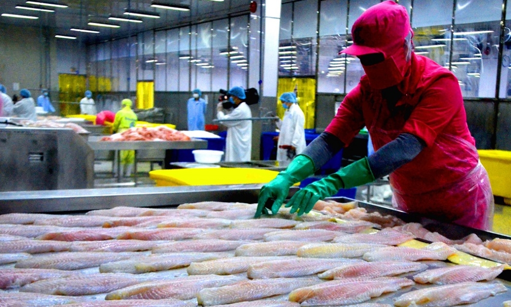 Các sản phẩm cá tra chế biến có sự tăng trưởng mạnh mẽ trong 9 tháng năm 2024. Ảnh minh họa.
