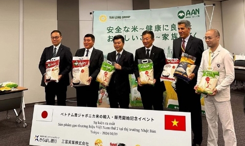  APONICA chất lượng cao, dòng gạo thứ 2 của thương hiệu AAN chính thức có mặt tại thị trường Nhật Bản