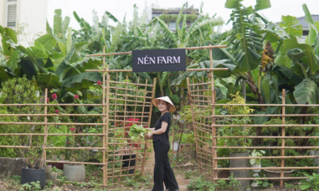 Khu vườn riêng của Nén Danang - nhà hàng đạt 1 sao Michelin Green Star của Việt Nam.