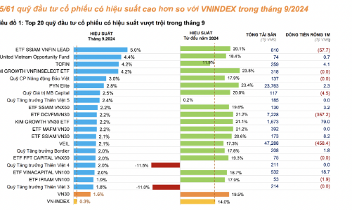 Trong khi nhà đầu tư cá nhân 