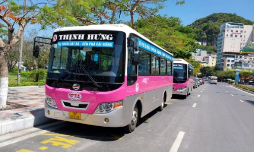 Hải Phòng bỏ quy hoạch phát triển xe buýt 