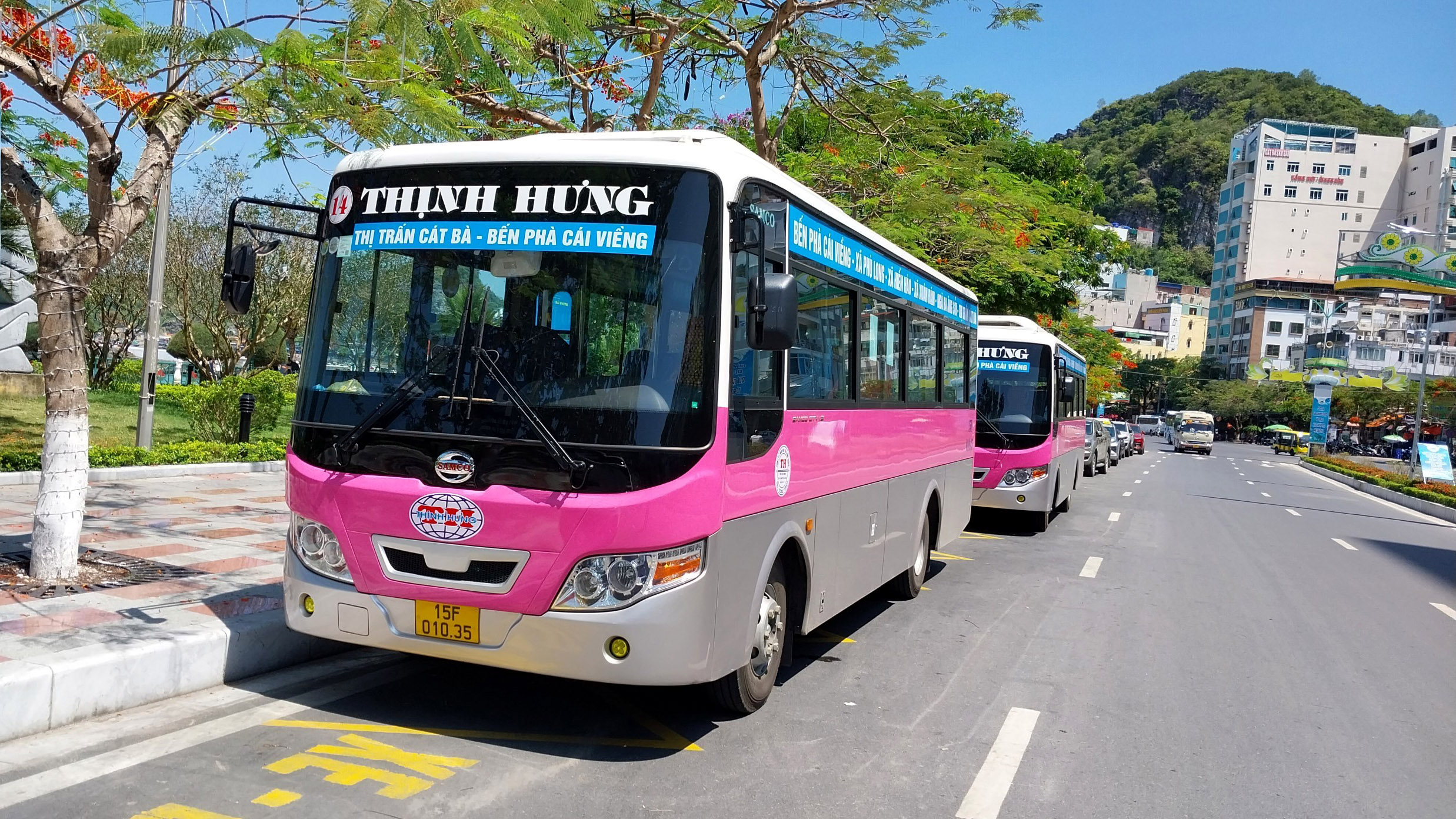 Hải Phòng bỏ quy hoạch mạng lưới xe buýt vì hiệu quả quá thấp so với mục tiêu đề ra