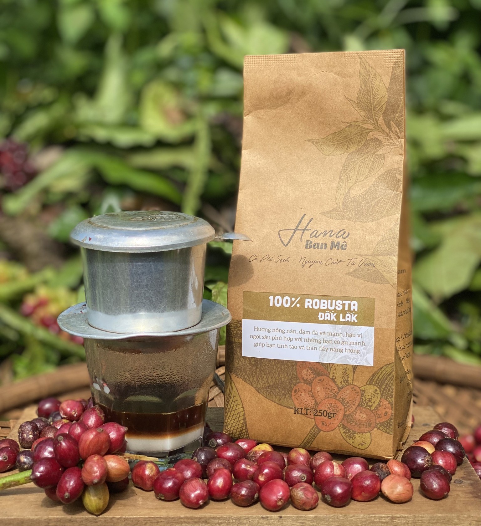 Câu chuyện bỏ phố về quê đầy cảm hứng của Hana Ban Mê và loạt sản phẩm núi rừng Tây Nguyên sẽ lên sóng Tinh hoa Việt Du Ký ngày 15/10 tới đây.