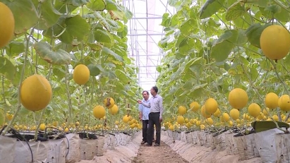 More than $1.45 billion to be invested in Thanh Hoa province’s agriculture.