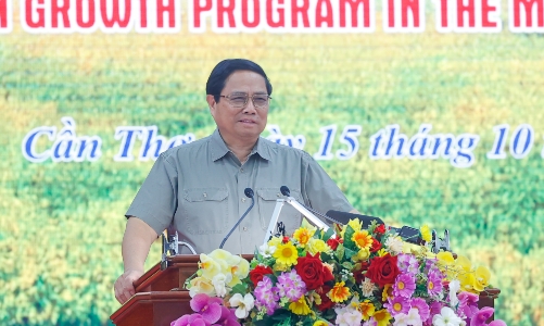 Thủ tướng: Phải thổi hồn vào cây lúa, thổi sức sống mới cho ngành lúa gạo