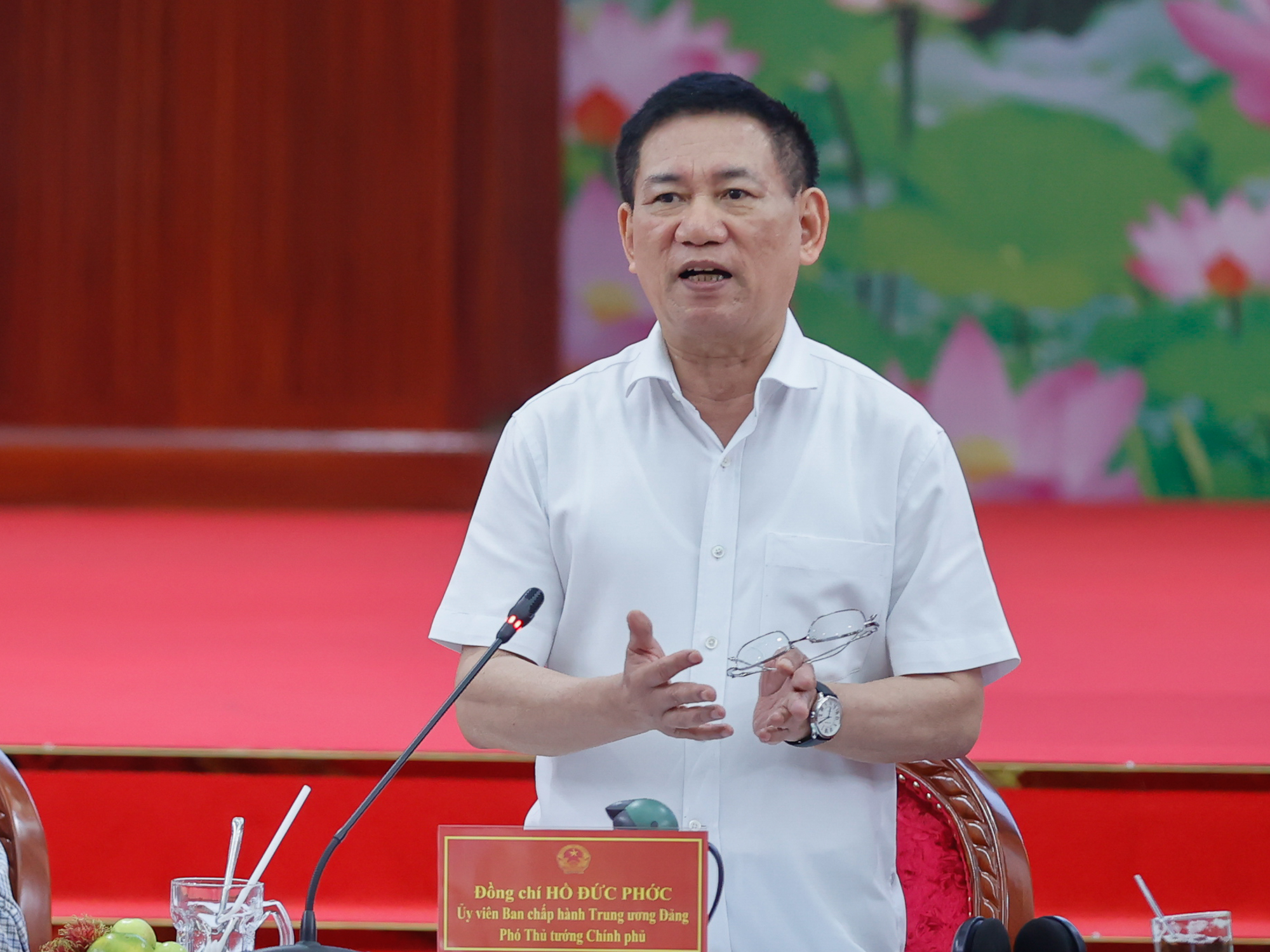 Phó Thủ tướng Hồ Đức Phớc phát biểu tại hội nghị - Ảnh: VGP