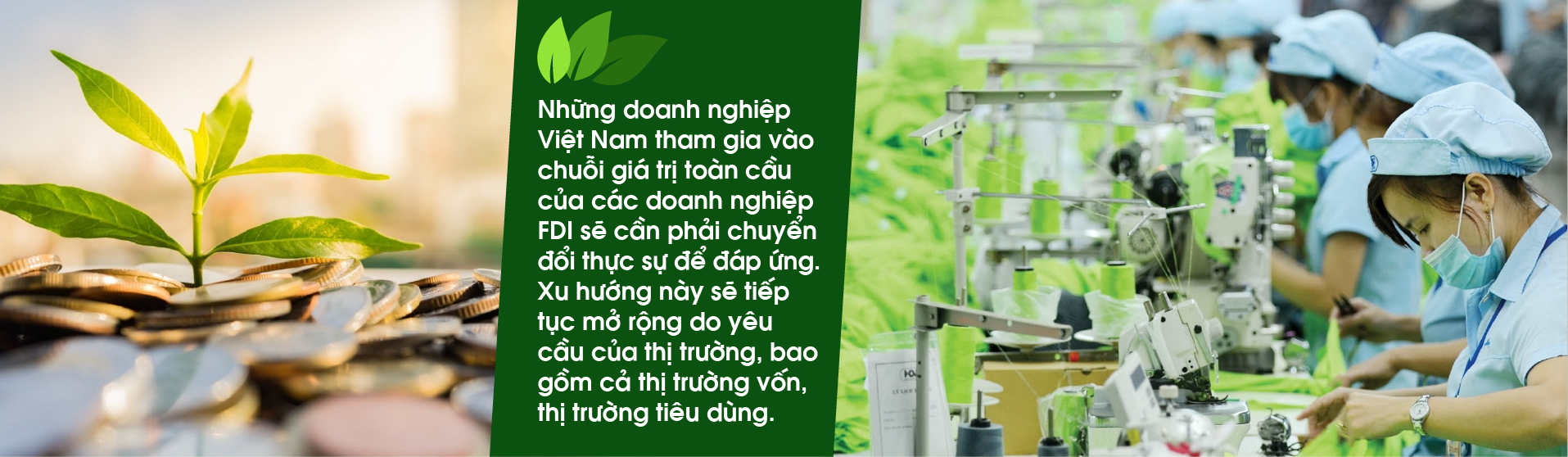 Chủ động và có lộ trình rõ ràng trong chuyển đổi xanh - Ảnh 4