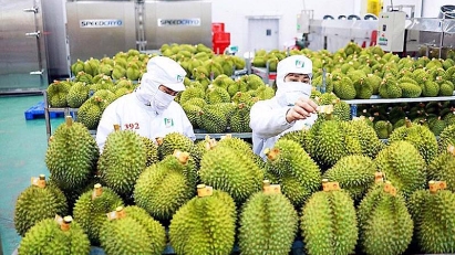 Fruit & vegetable export hits record high of $917 mln in September