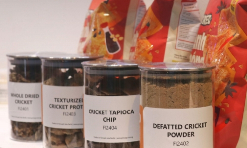GroupG Asia Pacific trở thành nhà phân phối độc quyền bột và protein dế CricketOne