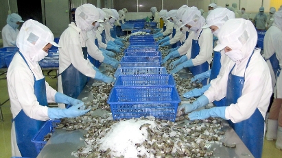 Shrimp exports gain nearly $2.8 bln in 9M