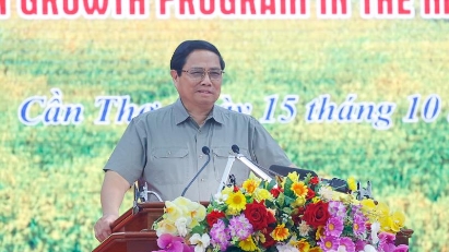 PM chairs conference to accelerate 1 million ha of high-quality rice project in Mekong Delta